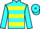 Jockey Silk colours