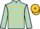 Jockey Silk colours